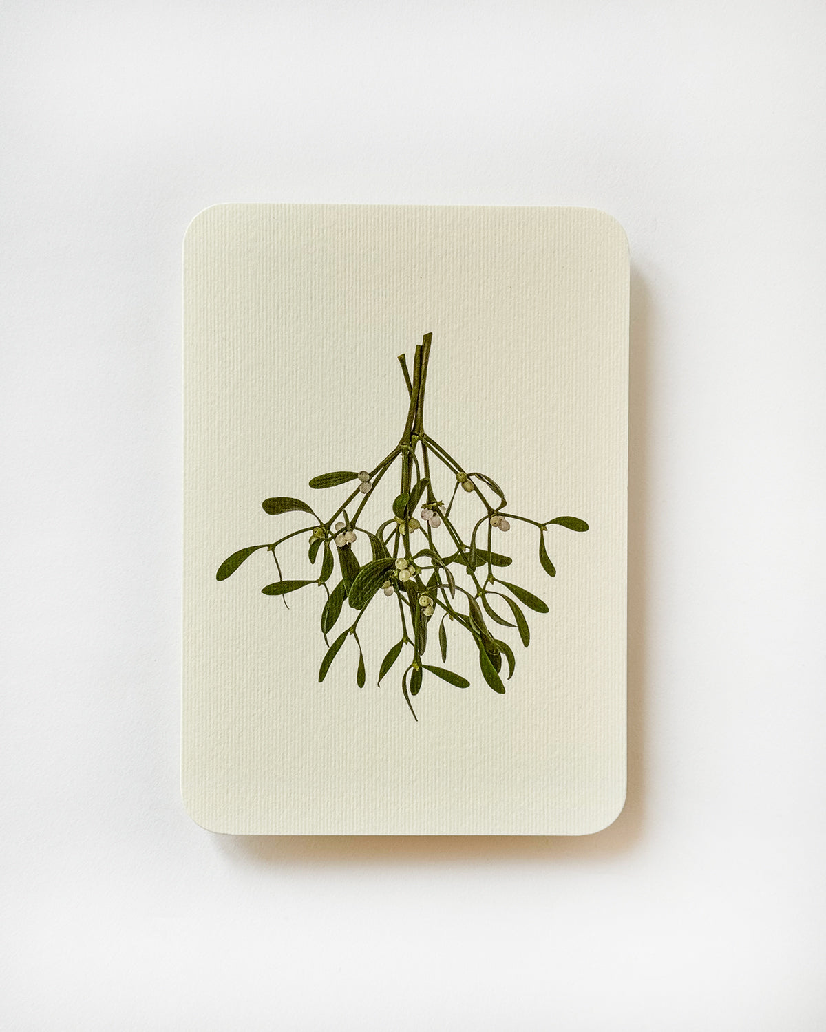 Mistletoe Branch Greeting Card