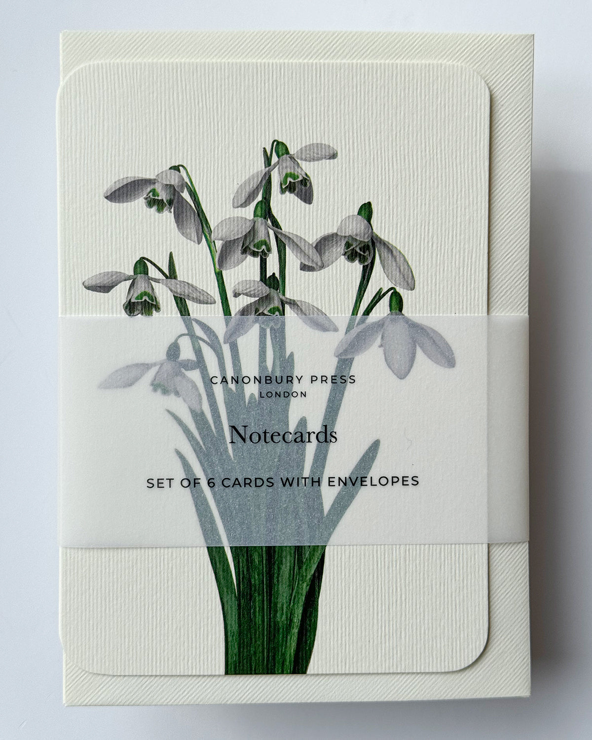 Snowdrops Greeting Card