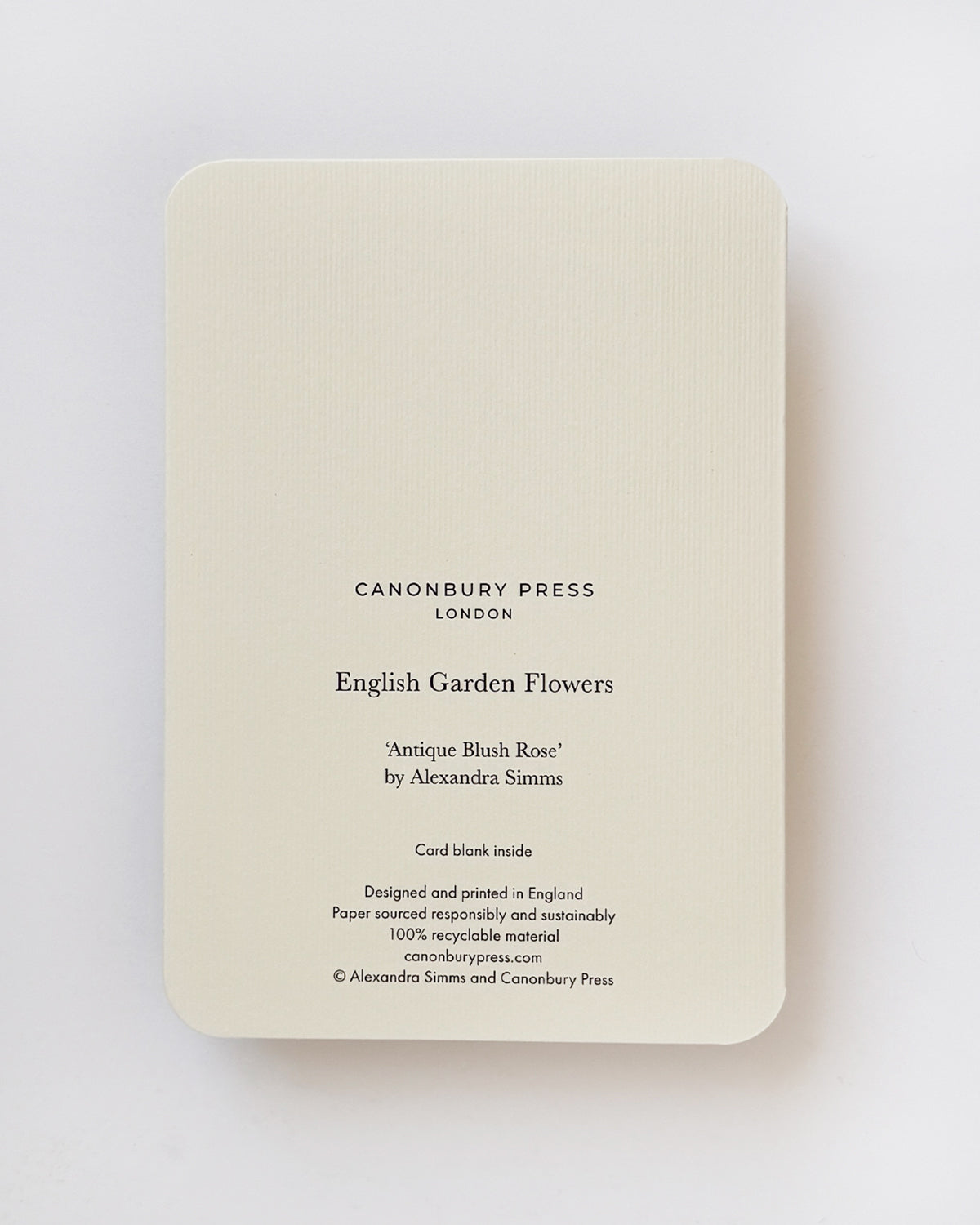 Antique Blush Rose Greeting Card