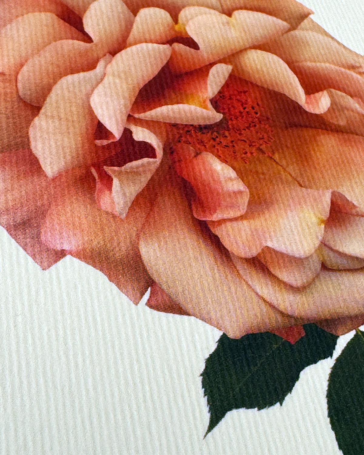 Antique Blush Rose Greeting Card