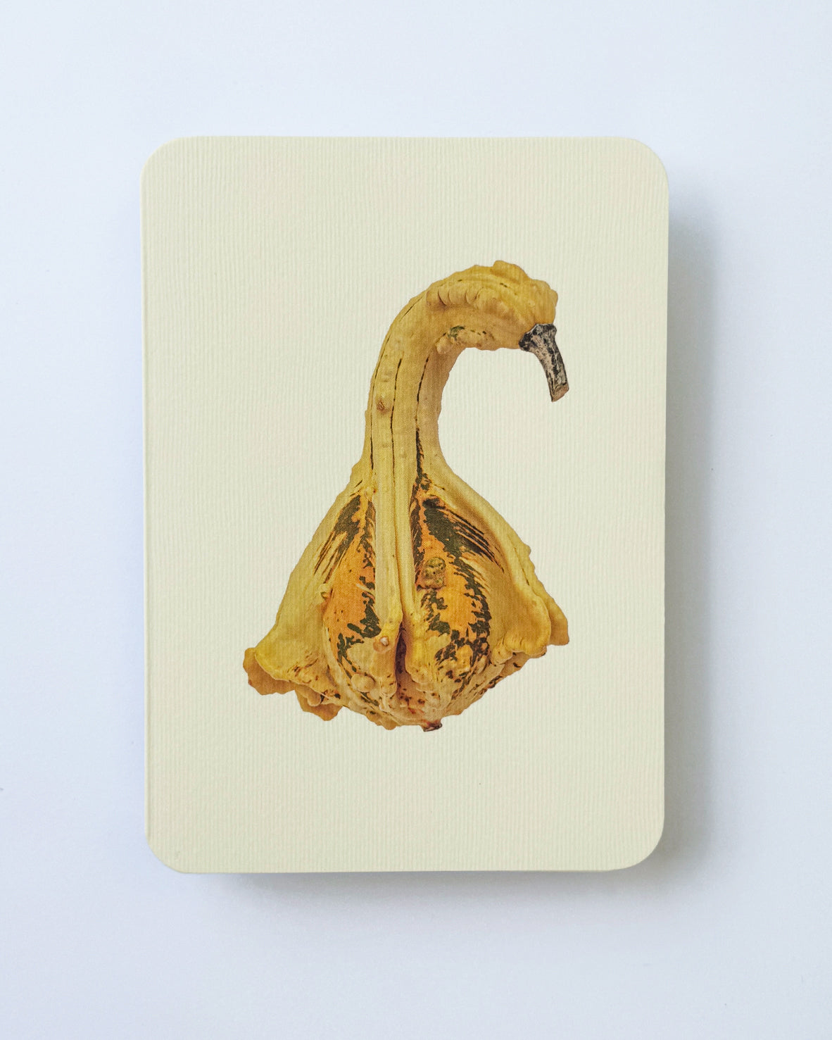 Ornamental Gourds Mixed Set of 6 Greeting Cards