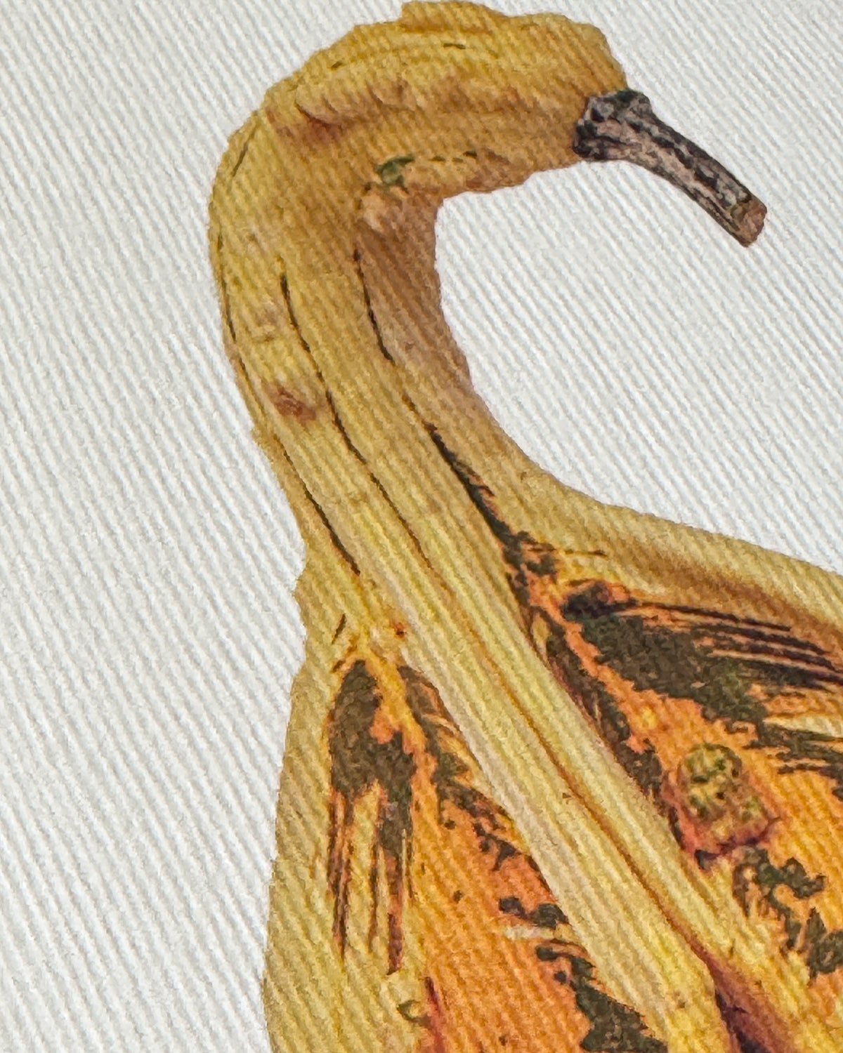 Ornamental Gourd No.1 Greeting Card