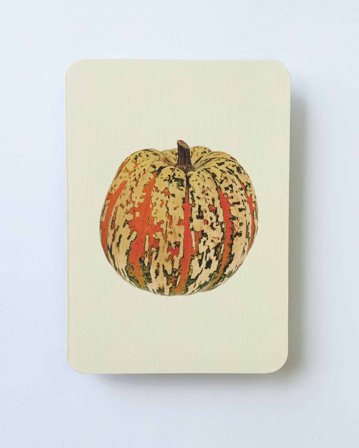 Ornamental Gourds Mixed Set of 6 Greeting Cards