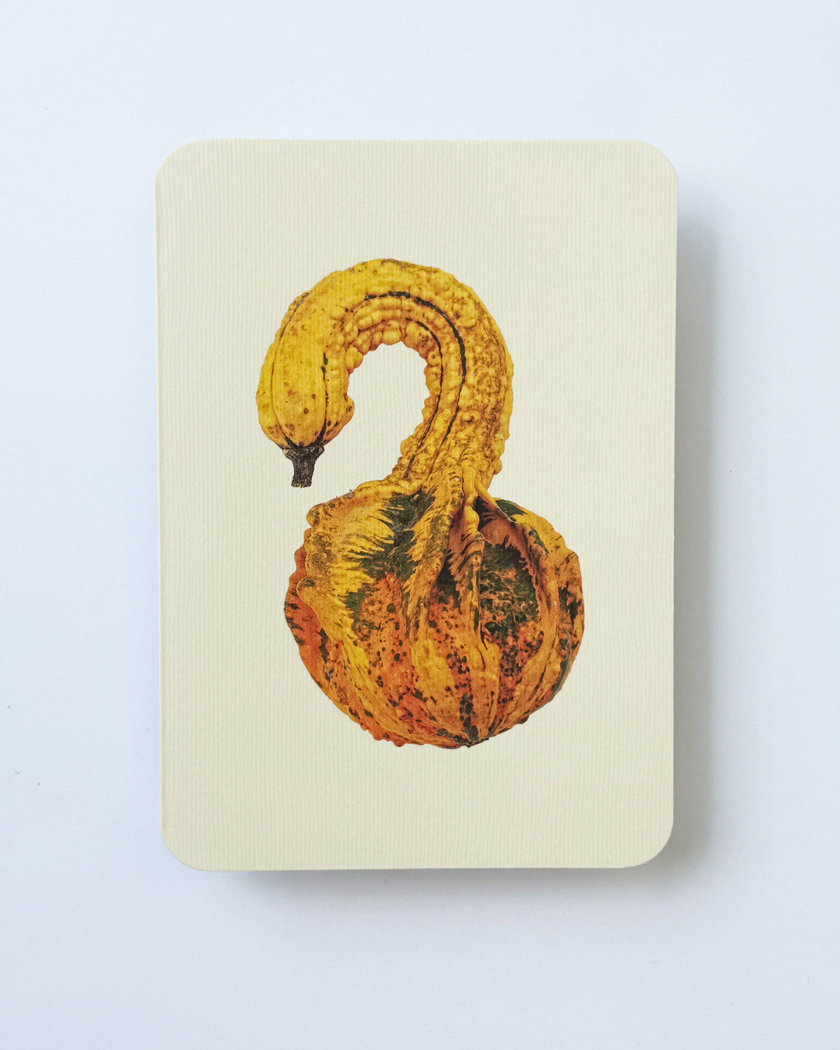 Ornamental Gourds Mixed Set of 6 Greeting Cards