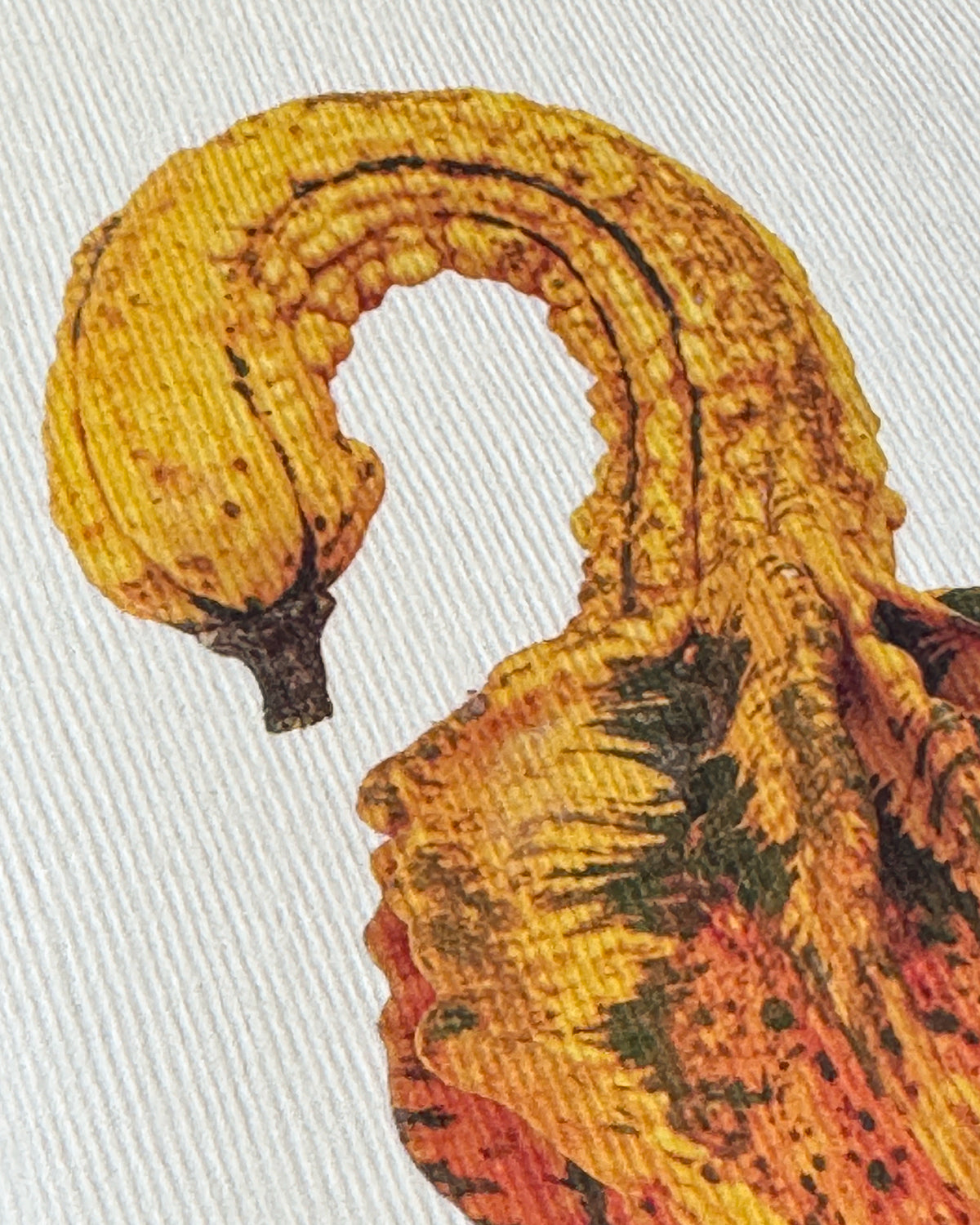 Ornamental Gourd No.3 Greeting Card