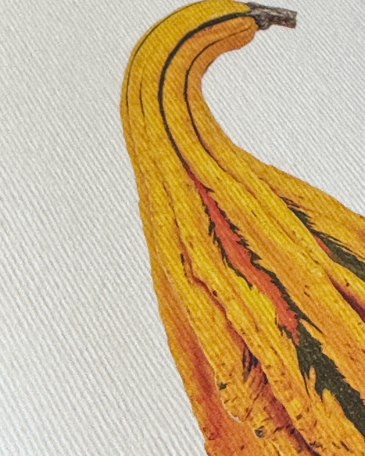 Ornamental Gourd No.5 Greeting Card