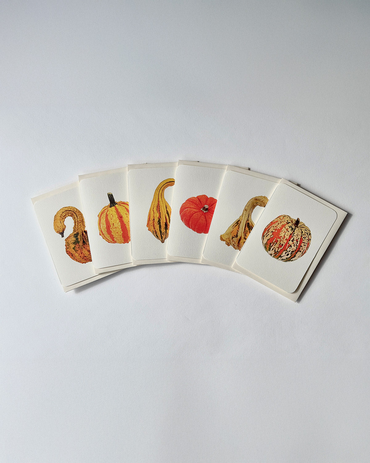 Ornamental Gourds Mixed Set of 6 Greeting Cards