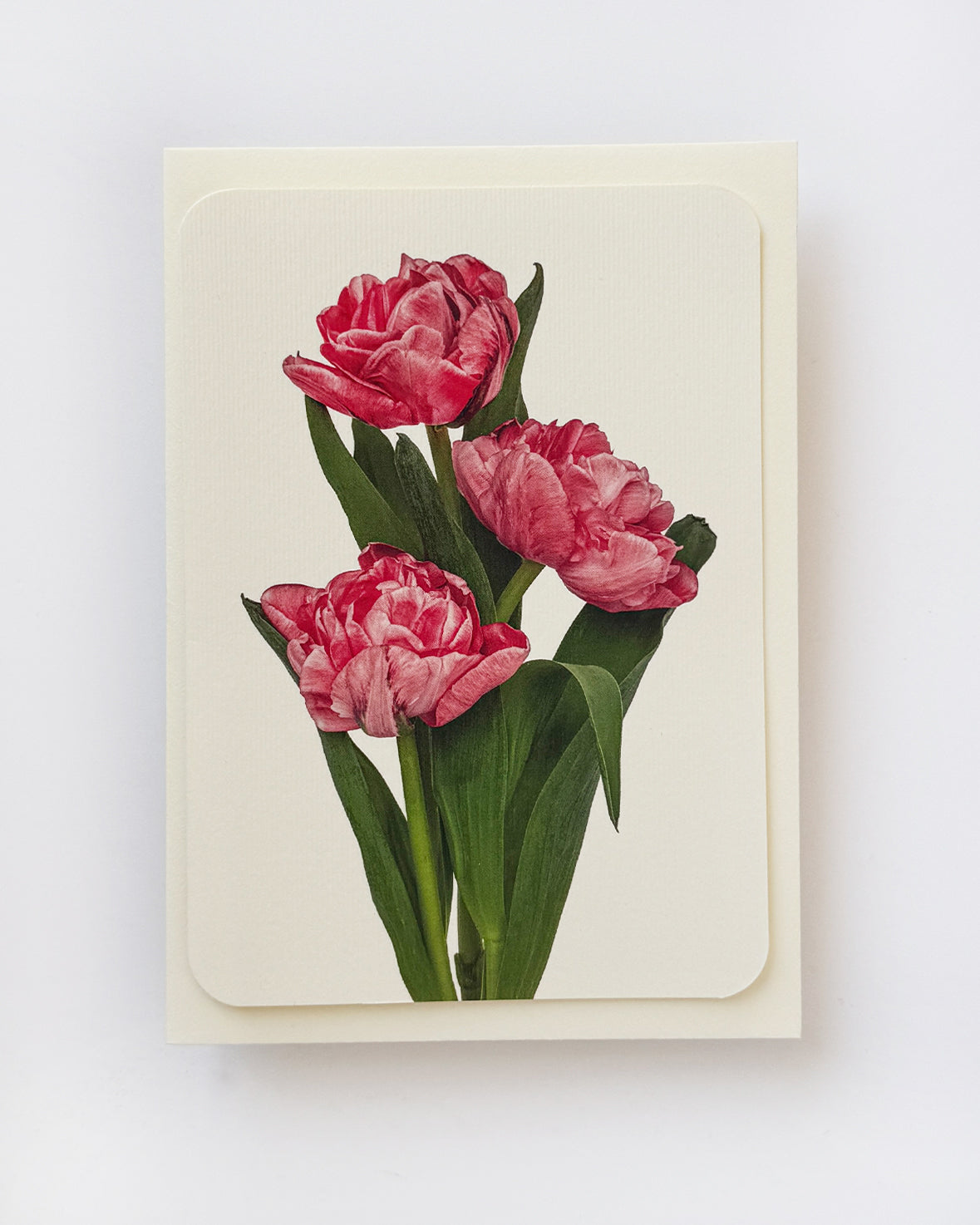 Pink Tulips Greeting Card
