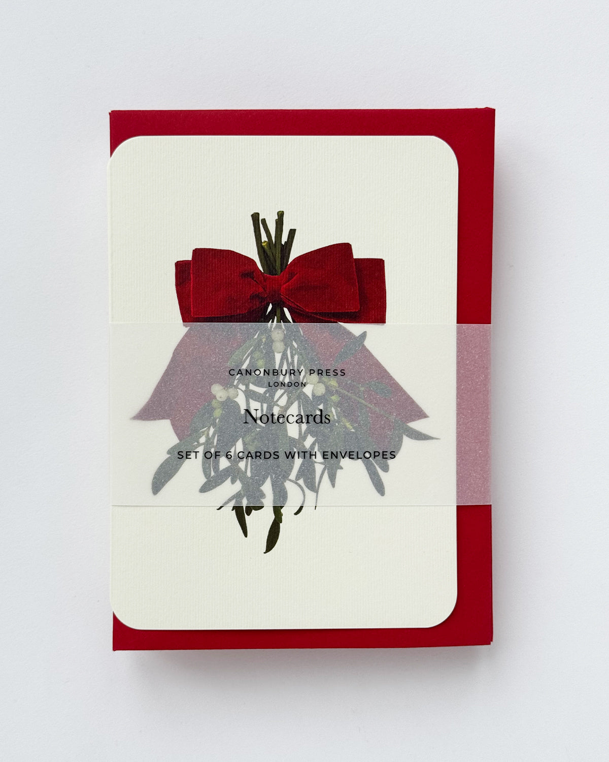 Mistletoe and Ribbon Greeting Card
