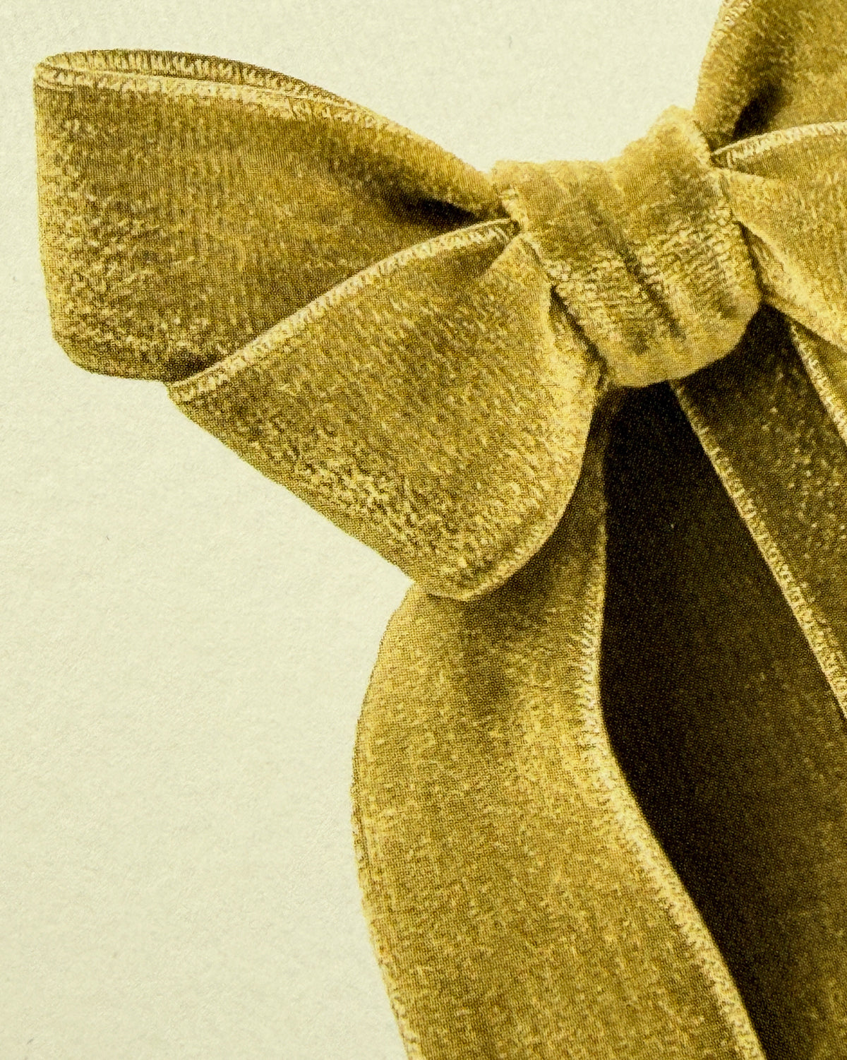 Amber Velvet Bow Greeting Card