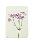 Anemone Greeting Card