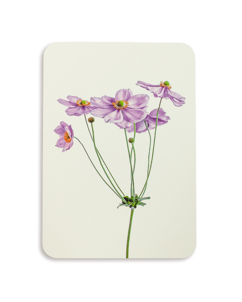 Anemone Greeting Card