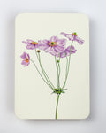 Anemone Greeting Card