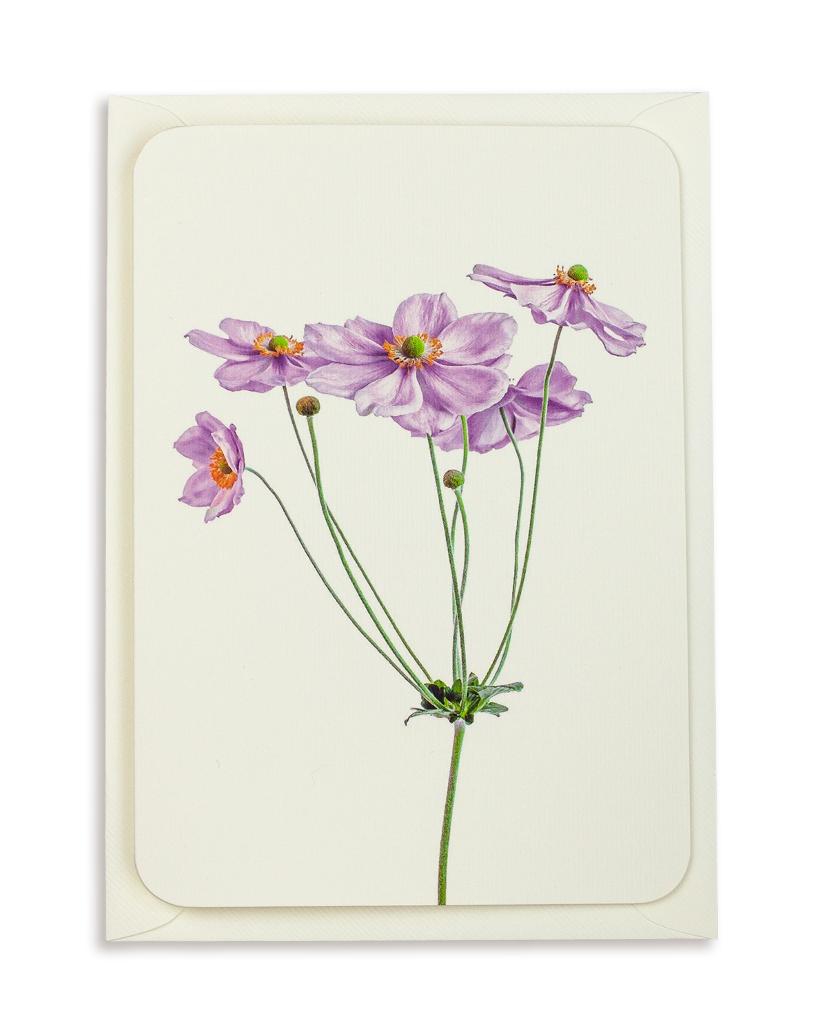 Anemone Greeting Card
