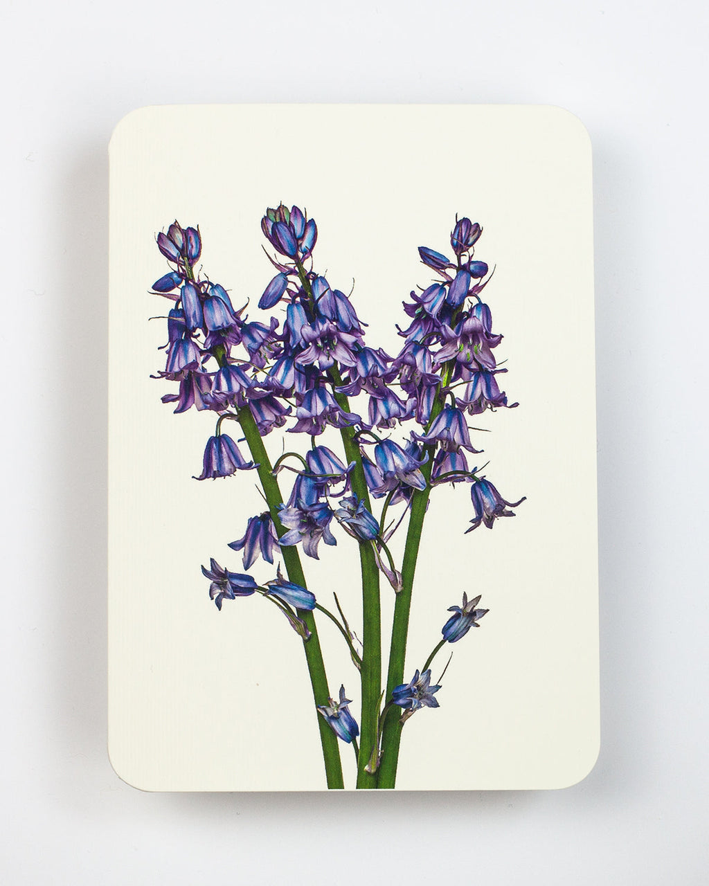 Bluebells Greeting Card