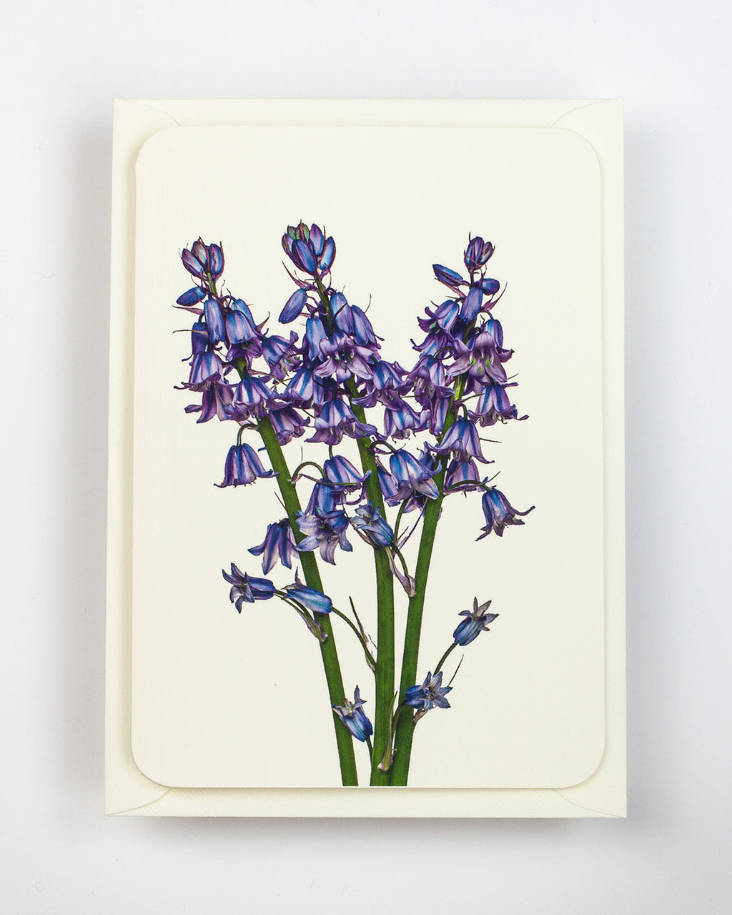 Bluebells Greeting Card