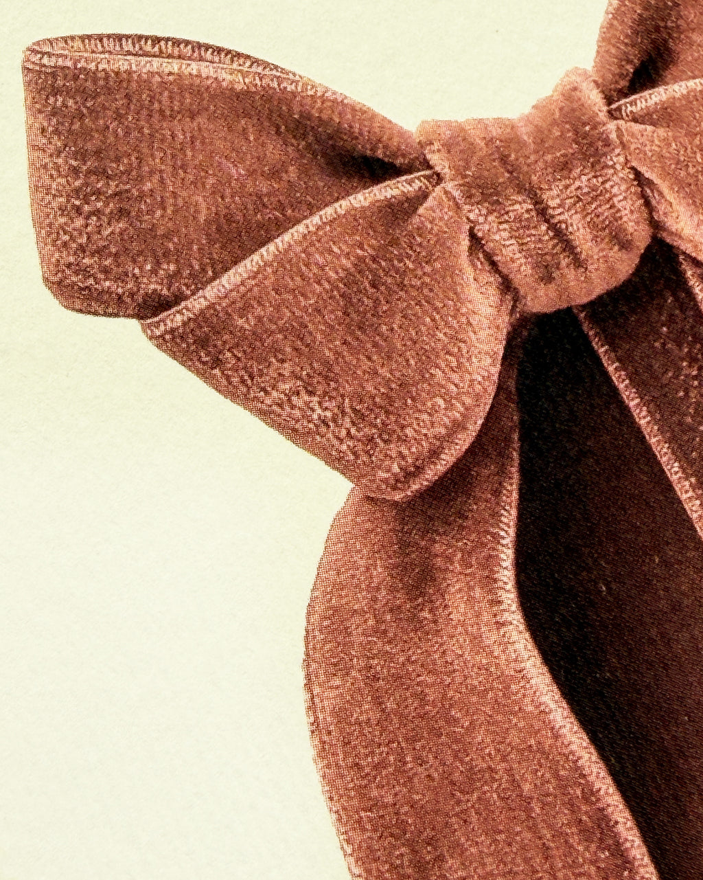 Blush Velvet Bow Greeting Card
