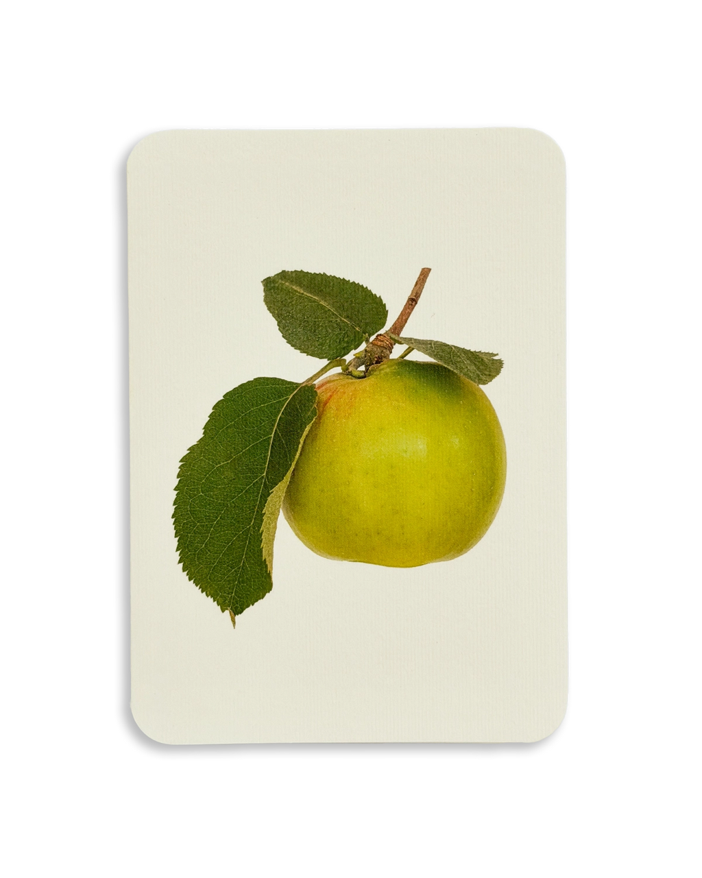 Bramley Apple Greeting Card