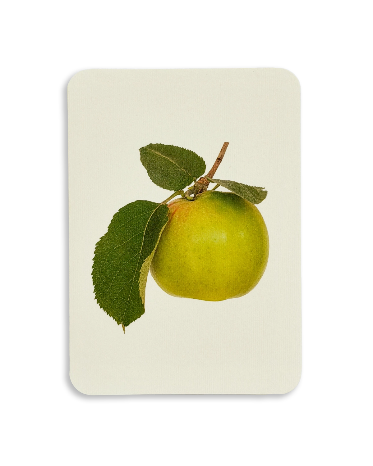 Bramley Apple Greeting Card