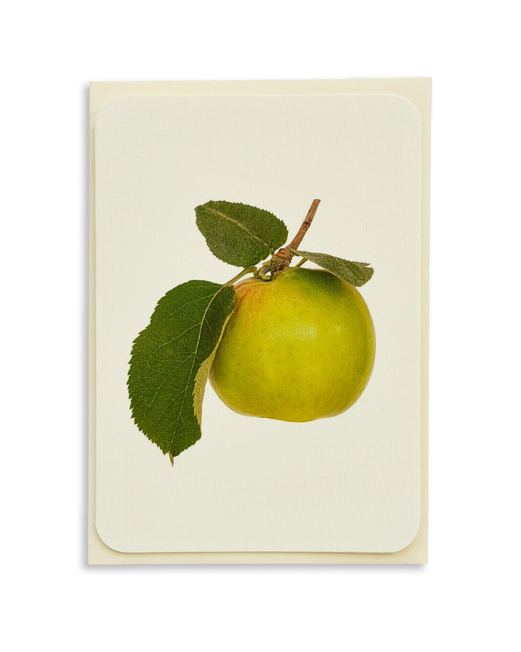 Bramley Apple Greeting Card