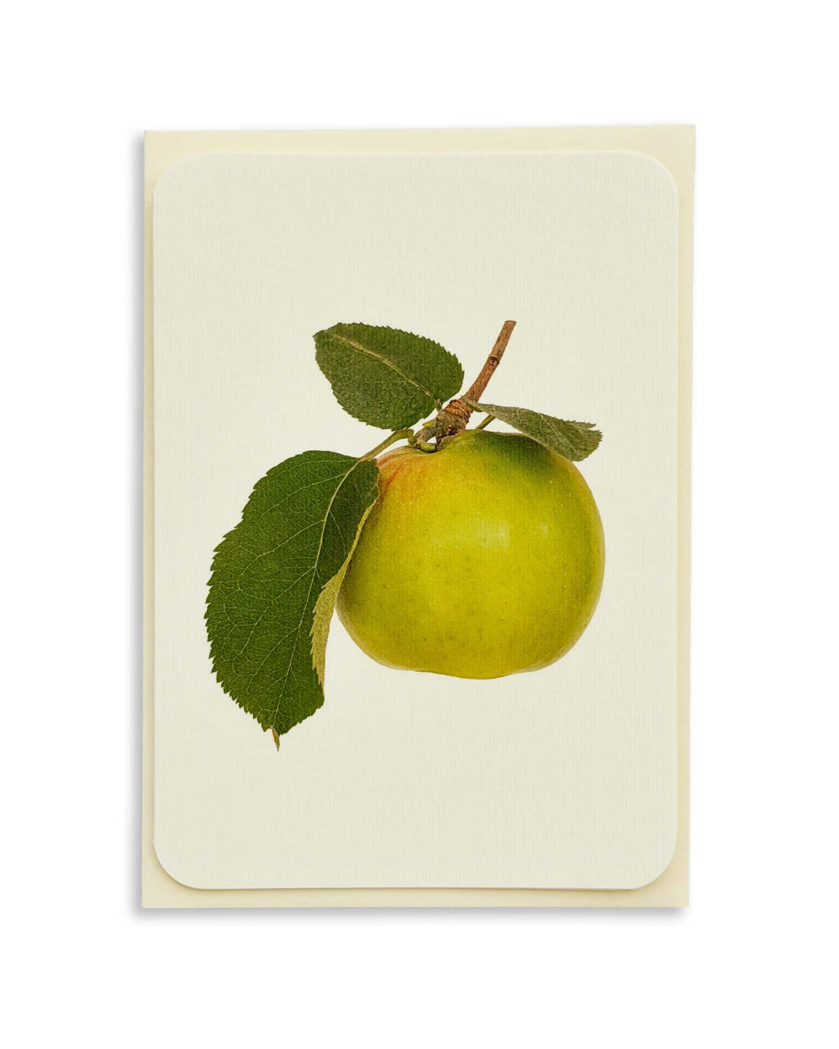 Bramley Apple Greeting Card