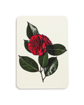 Camellia Greeting Card
