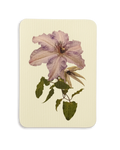 Clematis II Greeting Card