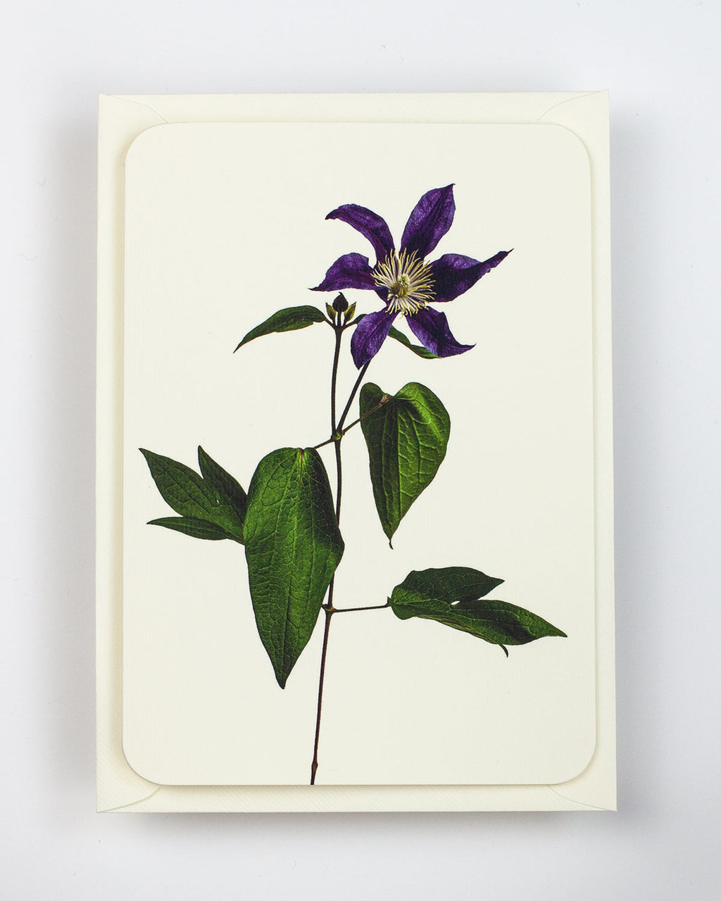 Clematis Greeting Card
