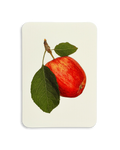 Cox's Orange Pippin Apple Greeting Card
