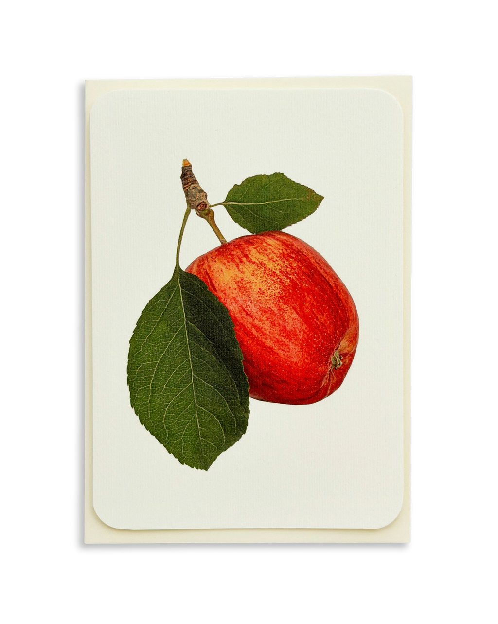Cox's Orange Pippin Apple Greeting Card
