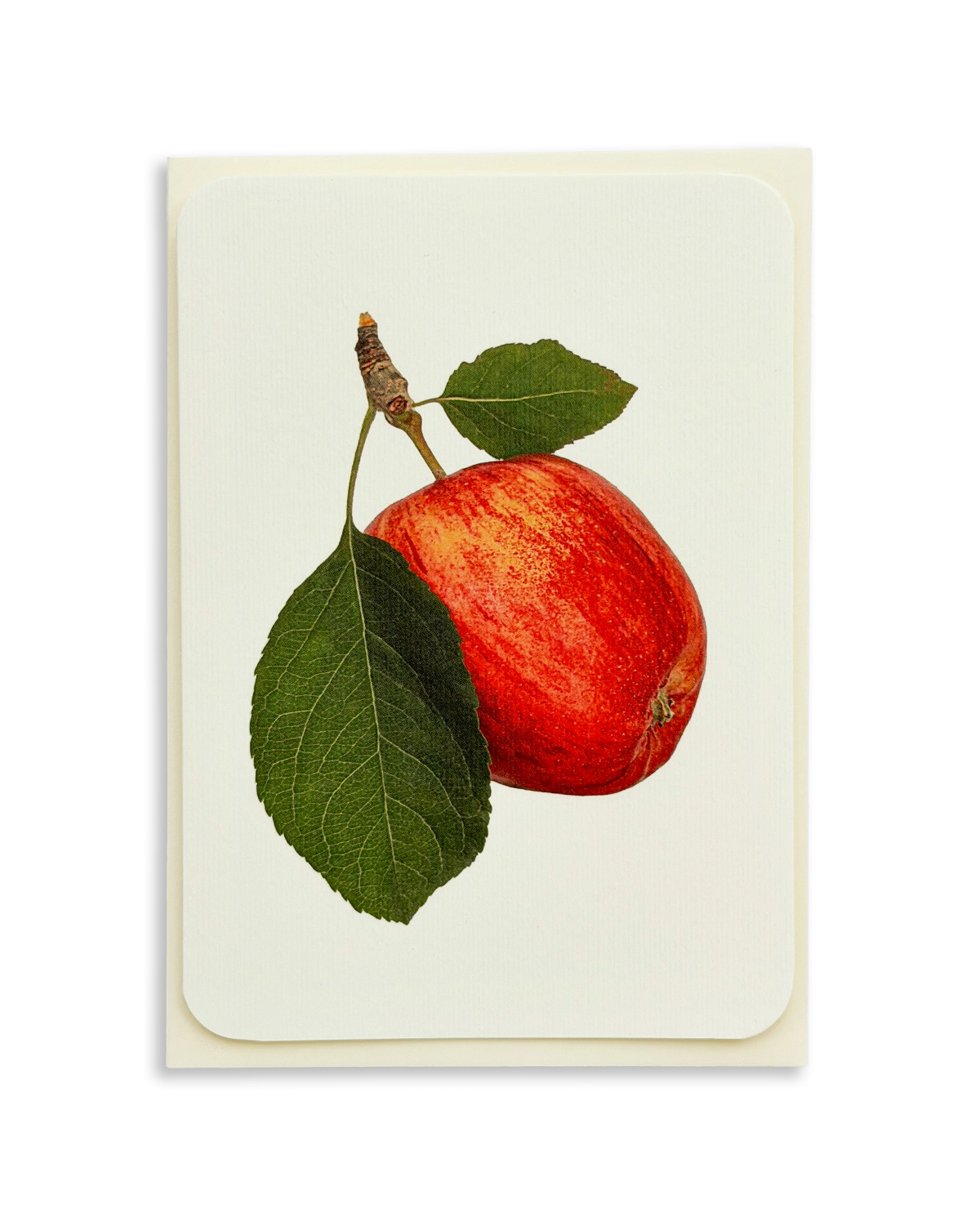 Cox's Orange Pippin Apple Greeting Card