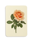 Dusky Rose Greeting Card