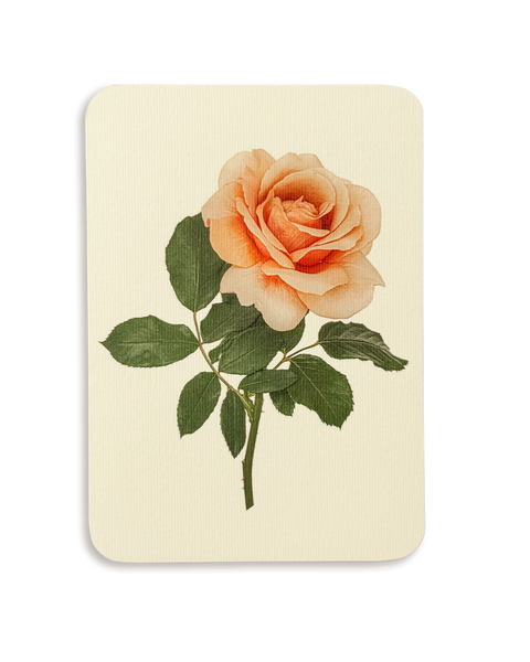 Dusky Rose Greeting Card