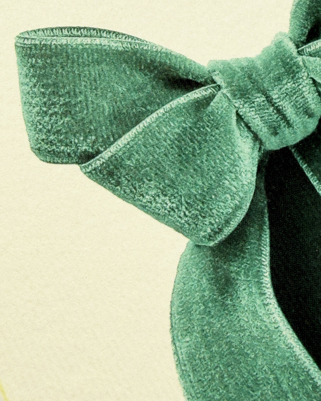 Eau-de-Nil Velvet Bow Greeting Card