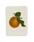 Egremont Russet Apple Greeting Card