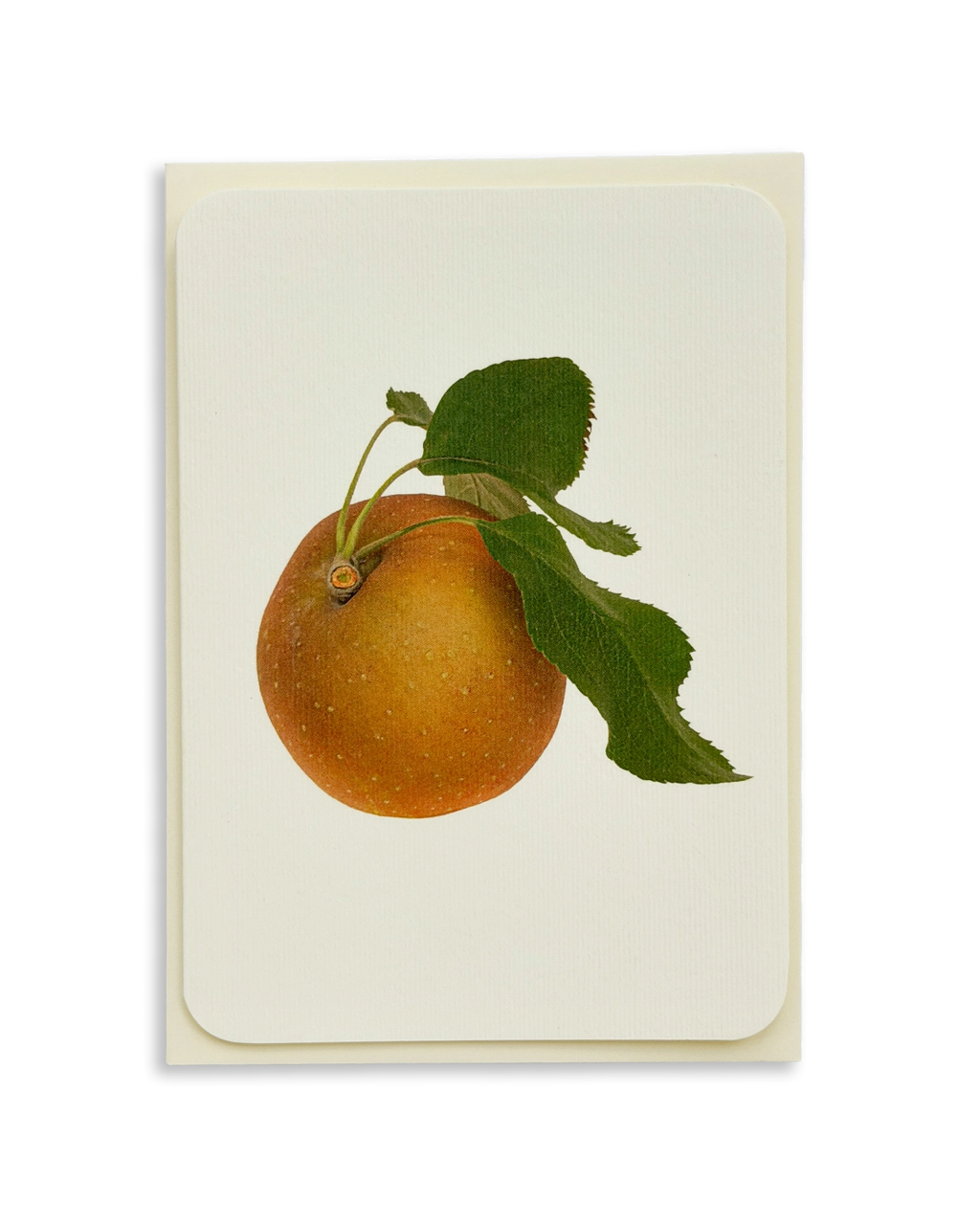 Egremont Russet Apple Greeting Card