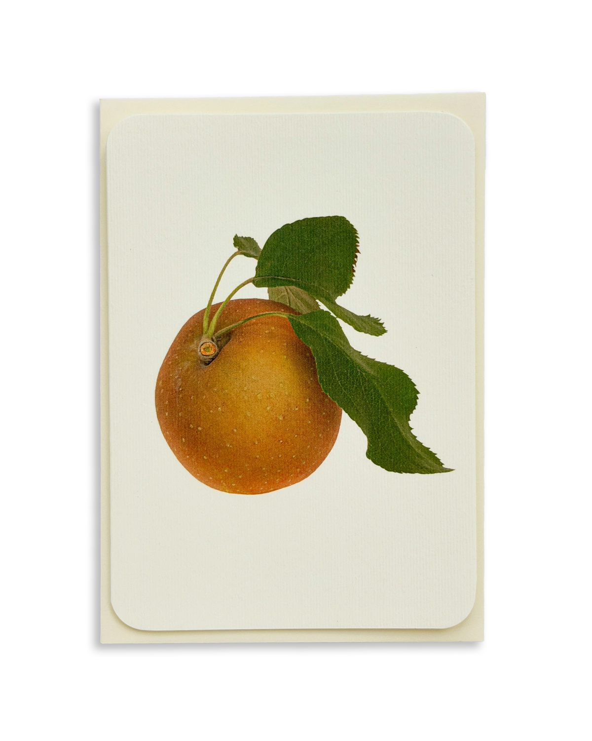 Egremont Russet Apple Greeting Card