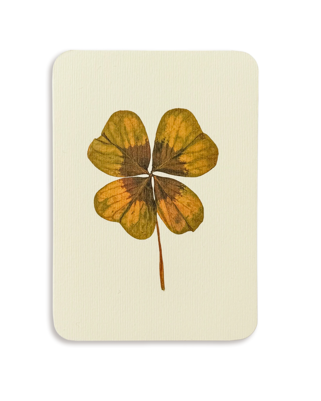 Four Leaf Clover Greeting Card