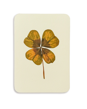Four Leaf Clover Greeting Card
