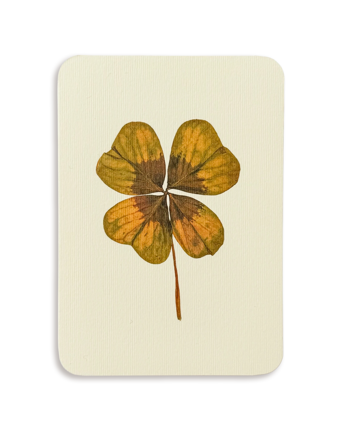Four Leaf Clover Greeting Card