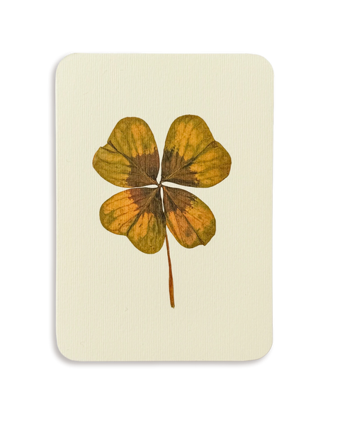 Four Leaf Clover Greeting Card