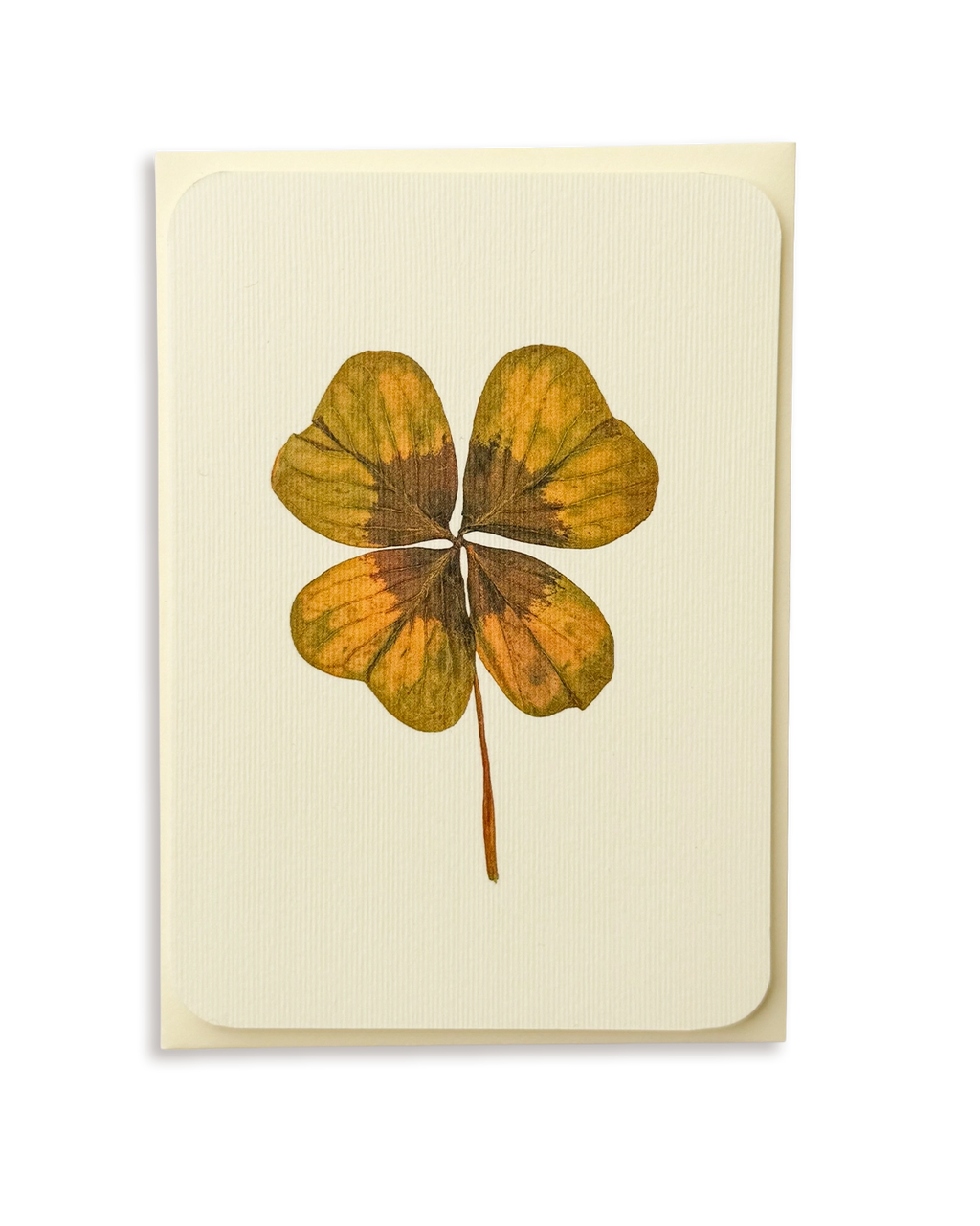 Four Leaf Clover Greeting Card