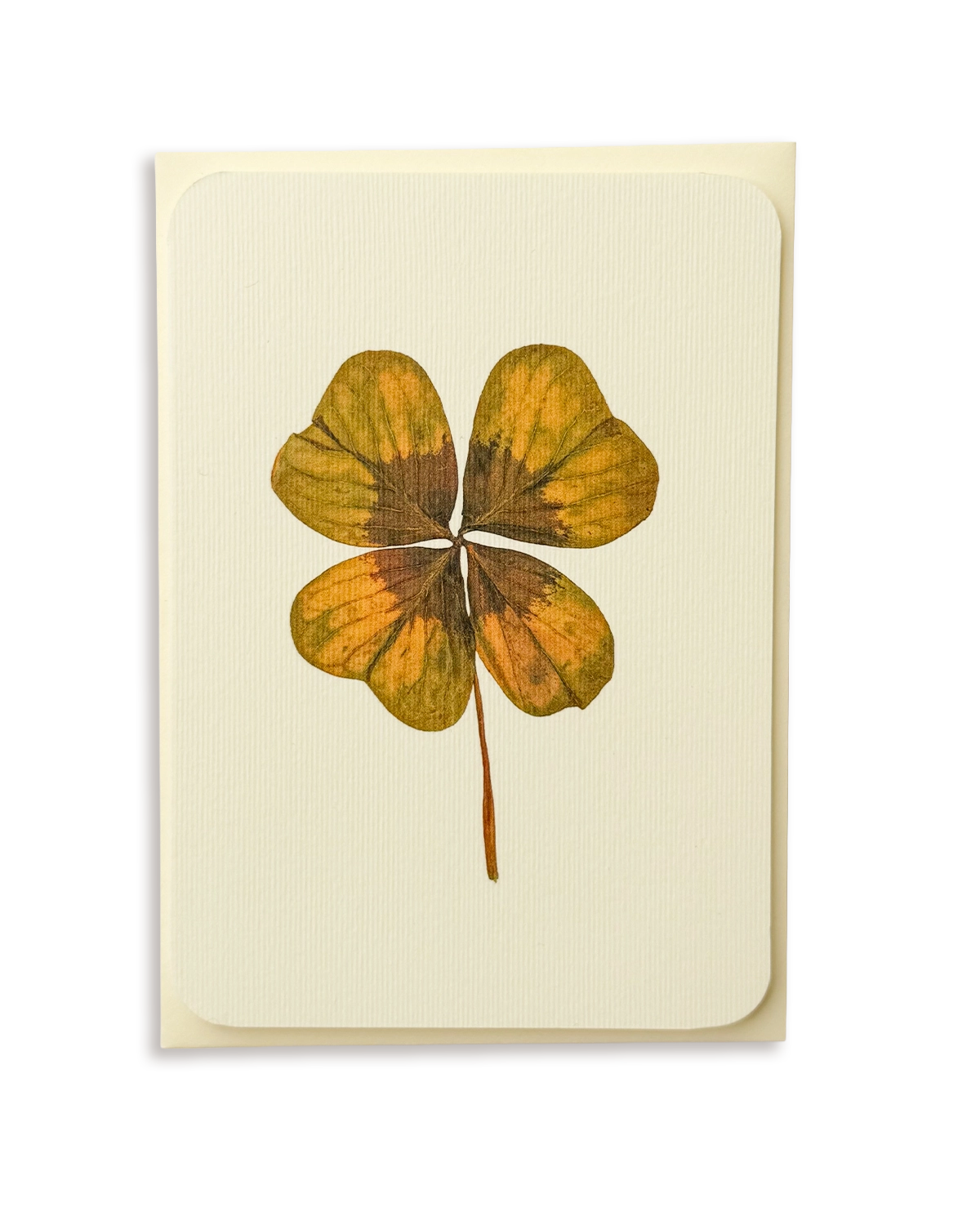 Four Leaf Clover Greeting Card
