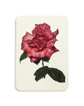 Garden Rose Greeting Card