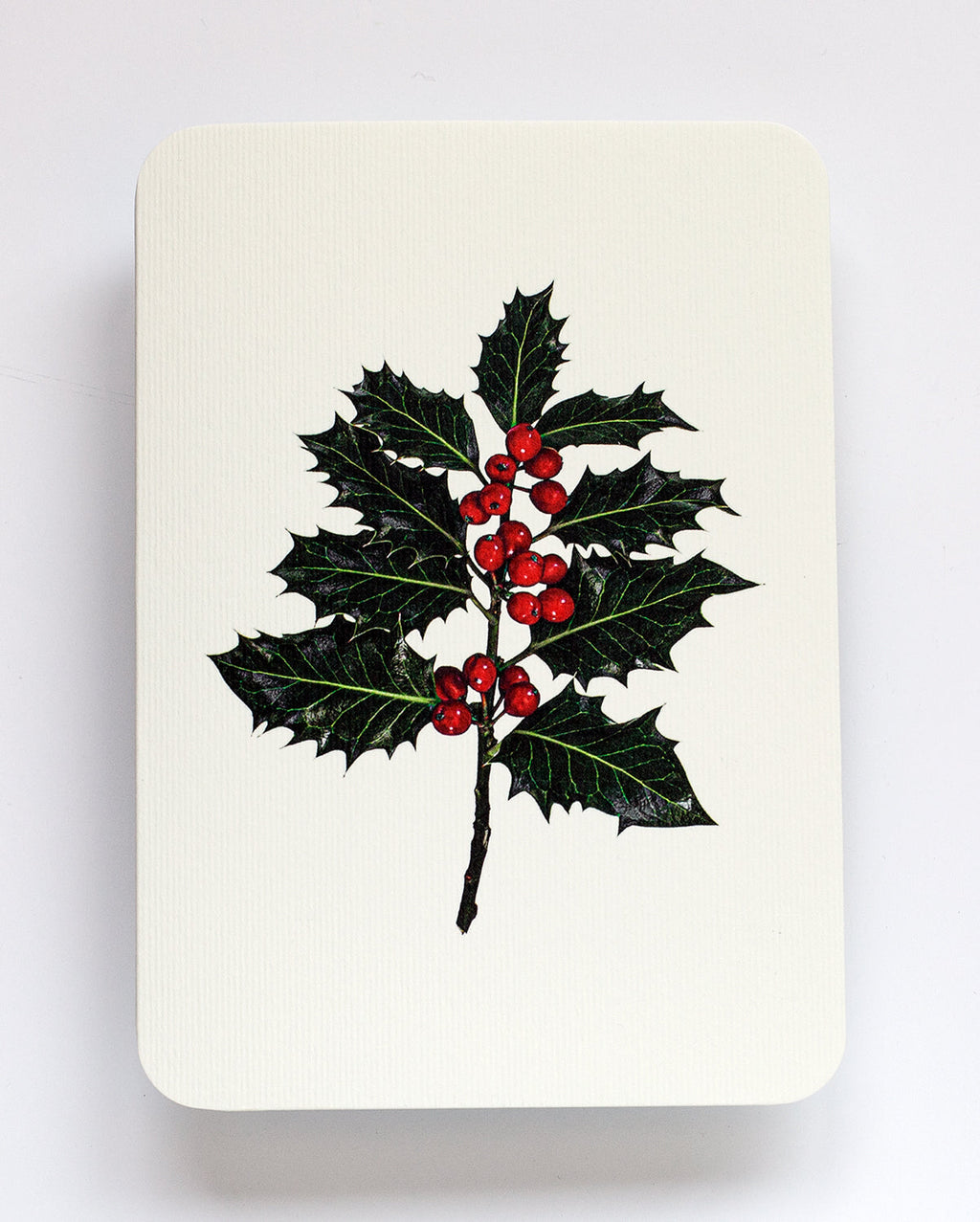Christmas Holly Greeting Card
