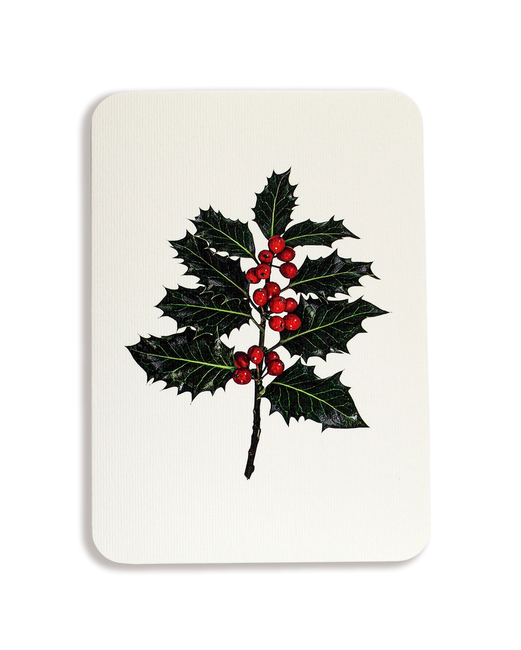 Christmas Holly Greeting Card