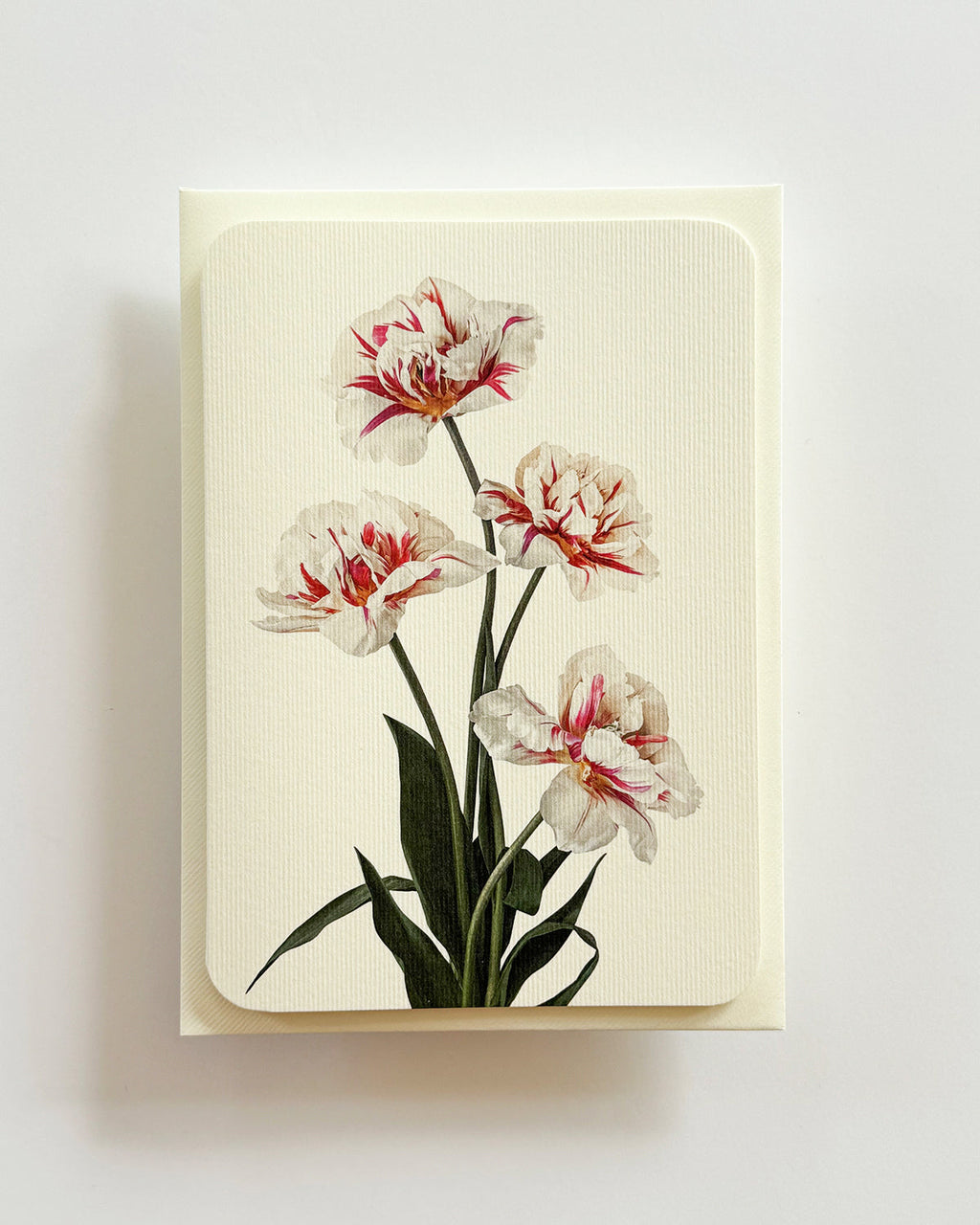 Tulips Greeting Card