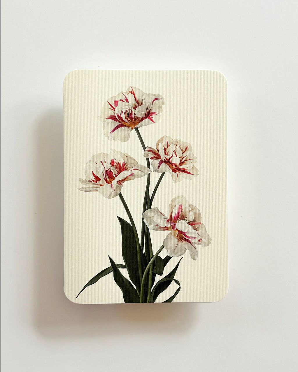 Tulips Greeting Card