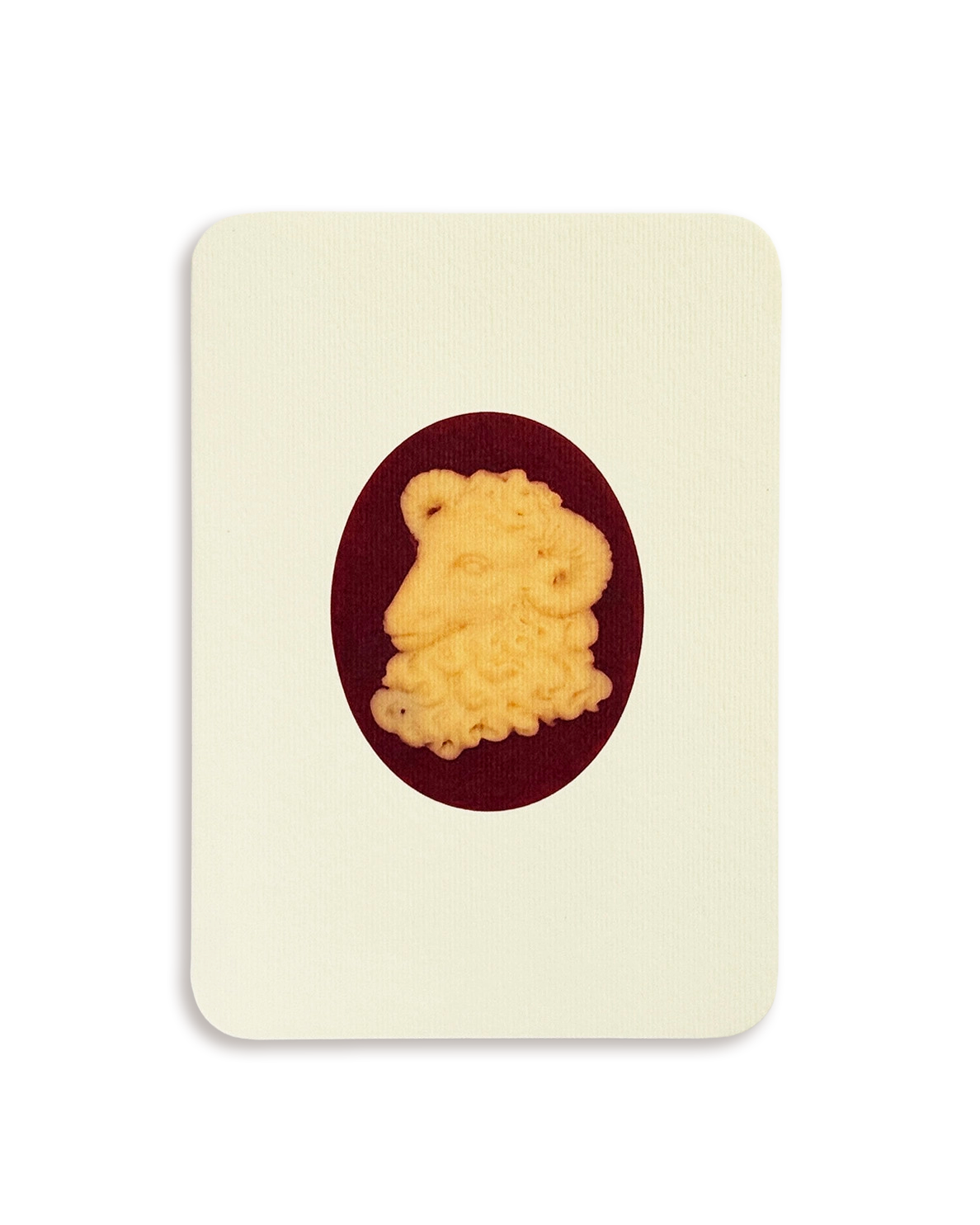 Aries Signs of the Zodiac Greeting Card