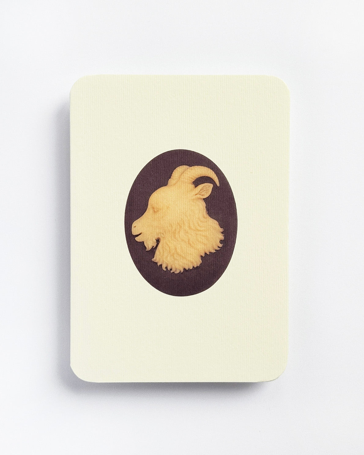 Capricorn Signs of the Zodiac Greeting Card